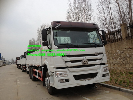 Sinotruk 40T Stander 336hp 10 Vrachtwagen van de Wielen de Zware Lading